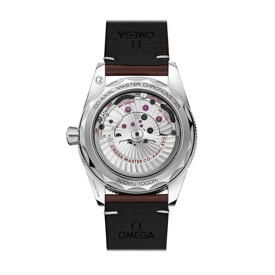Omega Seamaster 300 Co-axial Master Chronometer 41mm -