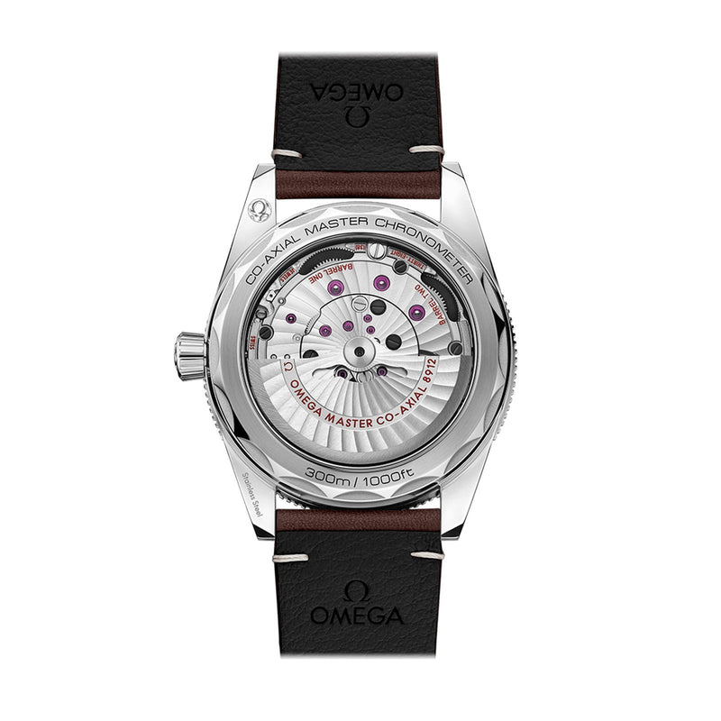 Omega Seamaster 300 41mm-Omega Seamaster 300 Co-axial Master Chronometer 41mm -