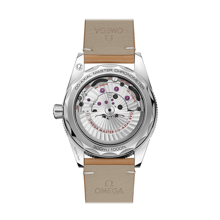 Omega Seamaster 300 Co-axial Master Chronometer 41mm -