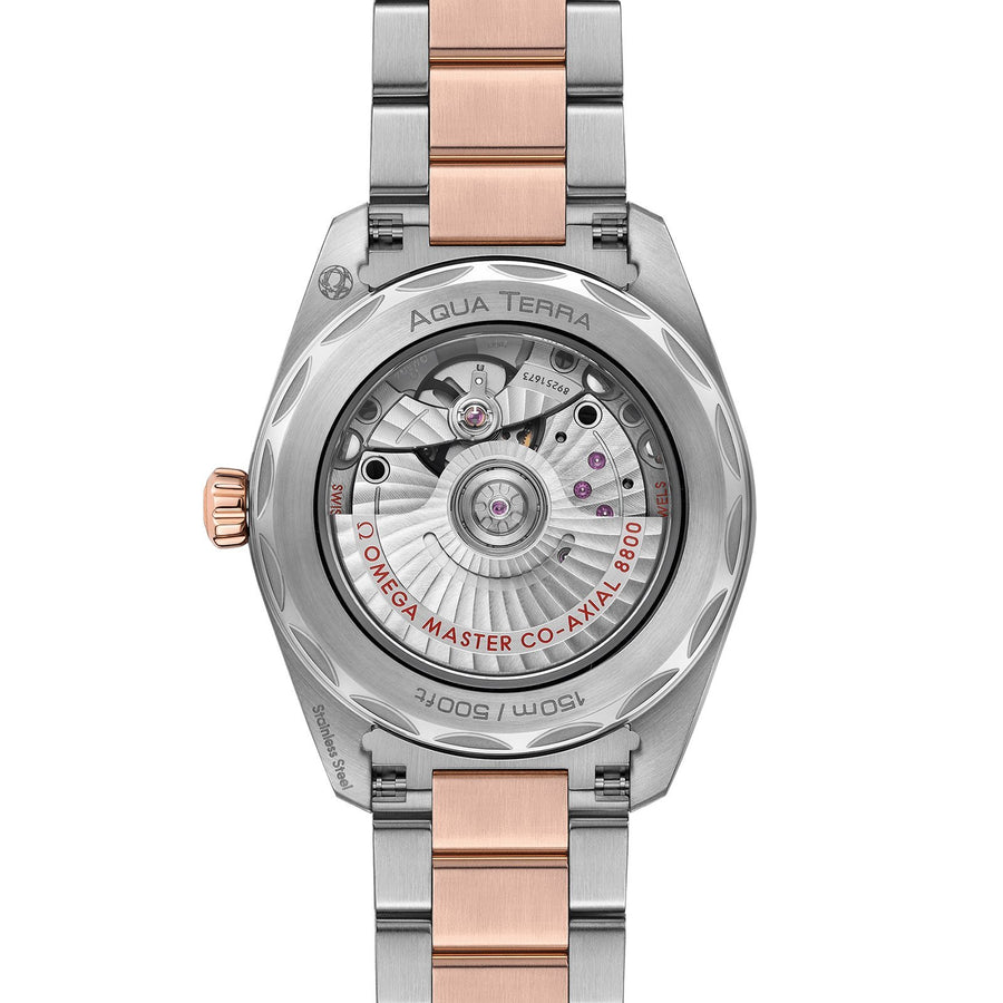 Omega Seamaster Aqua Terra 150m Co-Axial Master Chronometer 38mm -