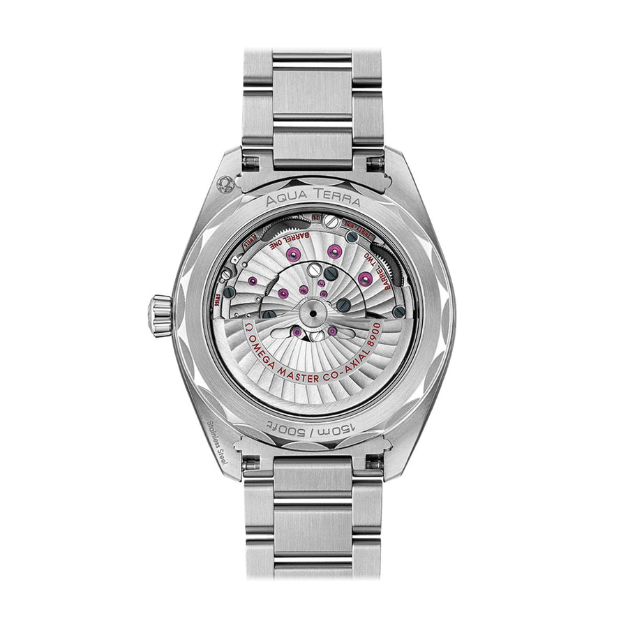 Omega Seamaster Aqua Terra 150m 41mm 220.10.41.21.03.004