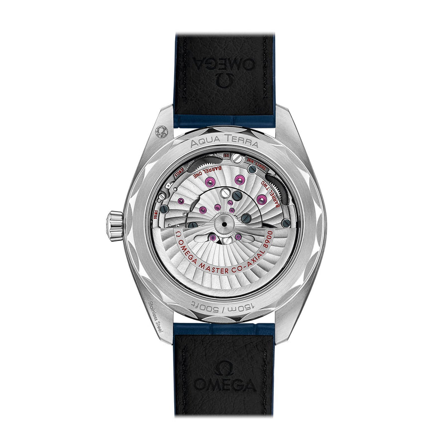 Omega Seamaster Aqua Terra 150m Co-axial Master Chronometer 41mm - 220.13.41.21.03.003