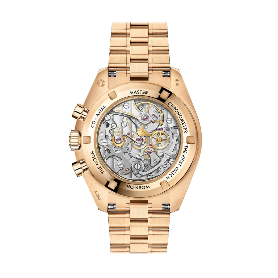 Omega Speedmaster Moonwatch Professional Co-axial Master Chronometer Chronograph 42mm - 310.60.42.50.10.001
