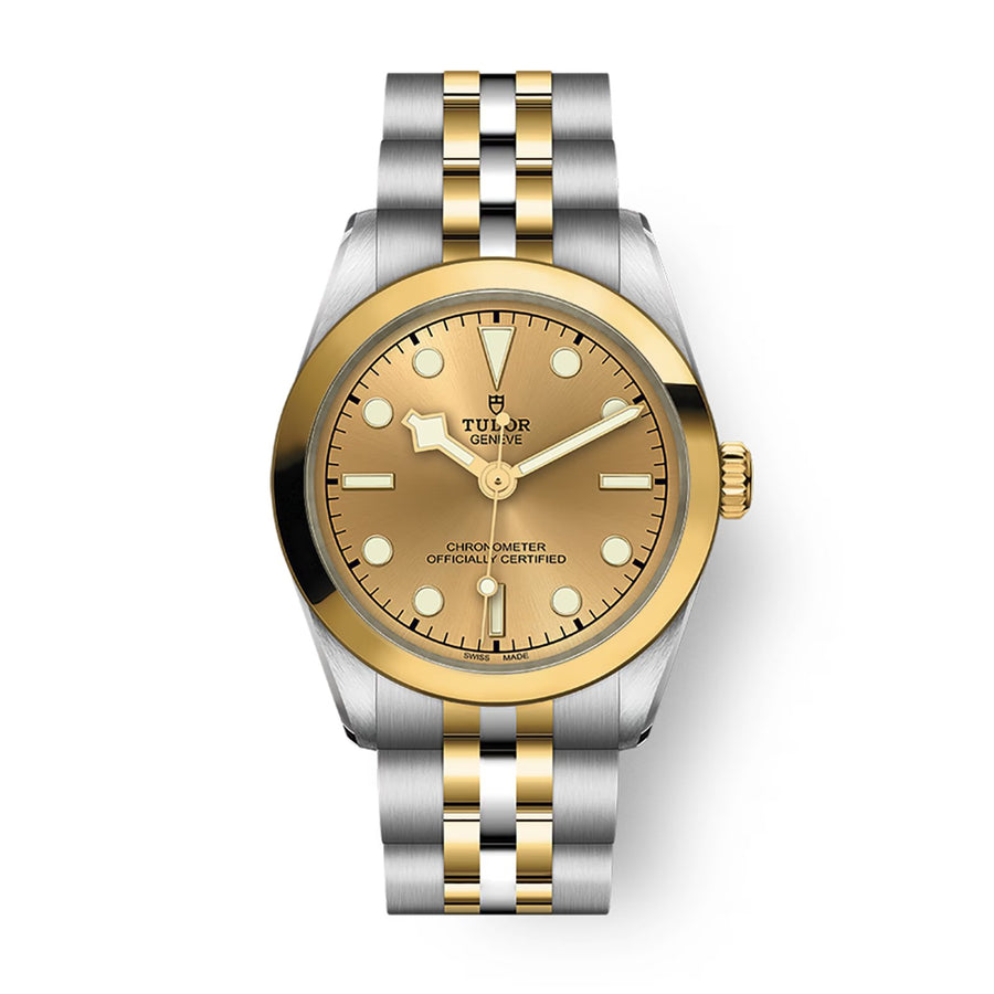 TUDOR Black Bay 31 S&G Steel and Gold - M79603-0005