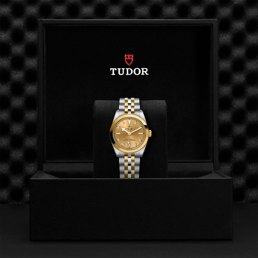 TUDOR Black Bay 31 S&G Steel and Gold - M79603-0008