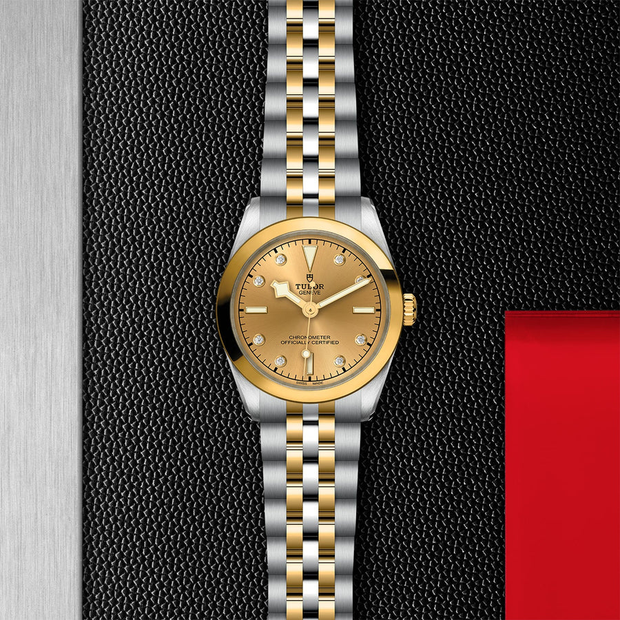 TUDOR Black Bay 31 S&G Steel and Gold - M79603-0008