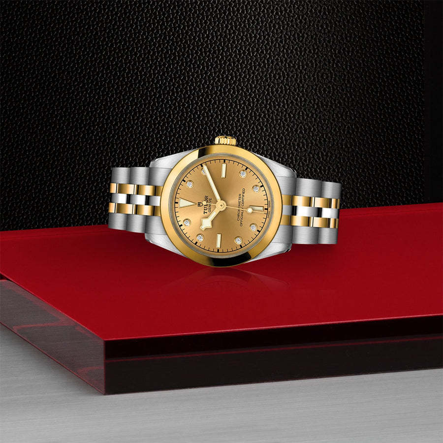 TUDOR Black Bay 31 S&G Steel and Gold - M79603-0008