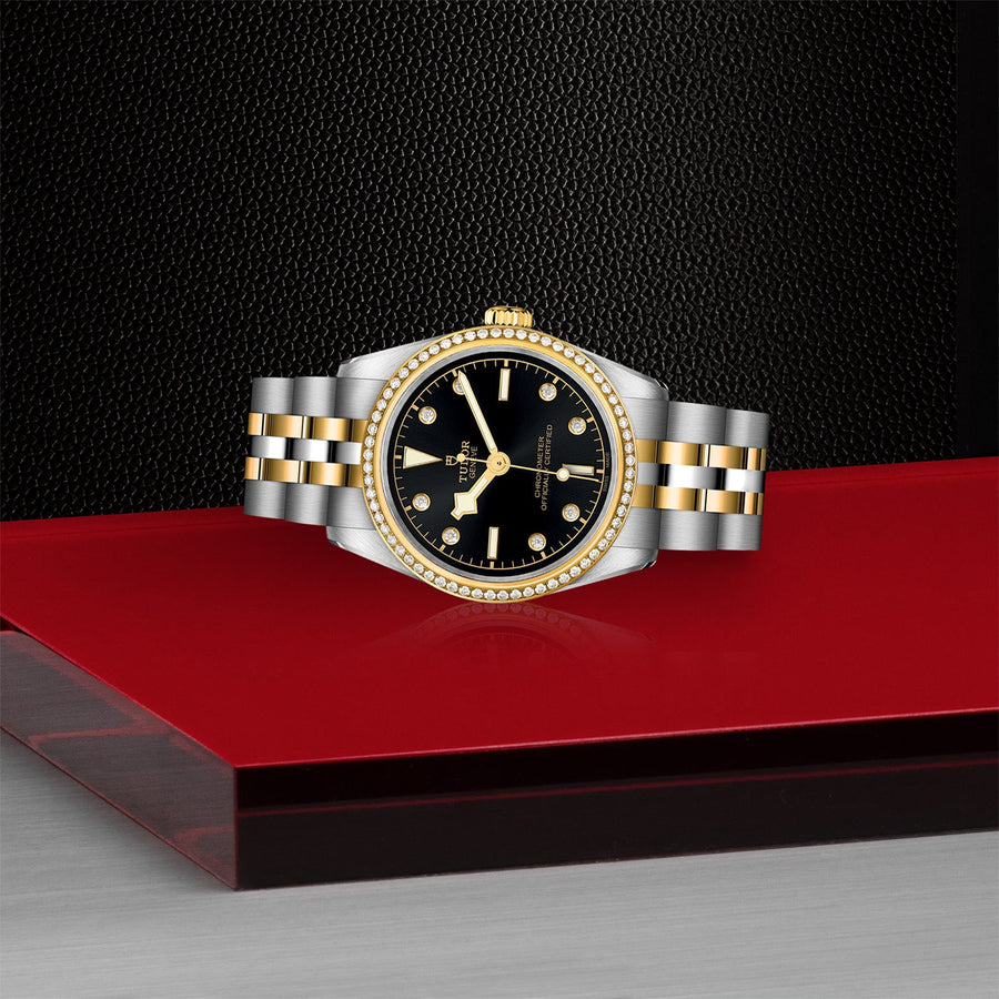 TUDOR Black Bay 31 S&G Steel and Gold - M79613-0005