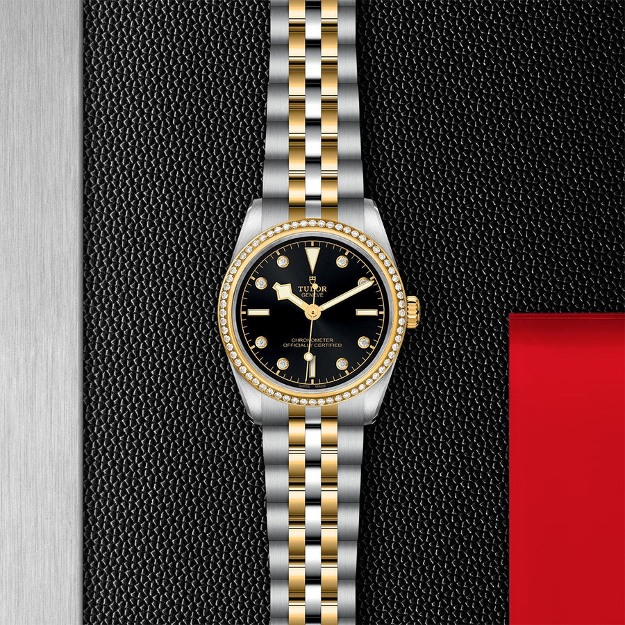 TUDOR Black Bay 31 S&G Steel and Gold - M79613-0005