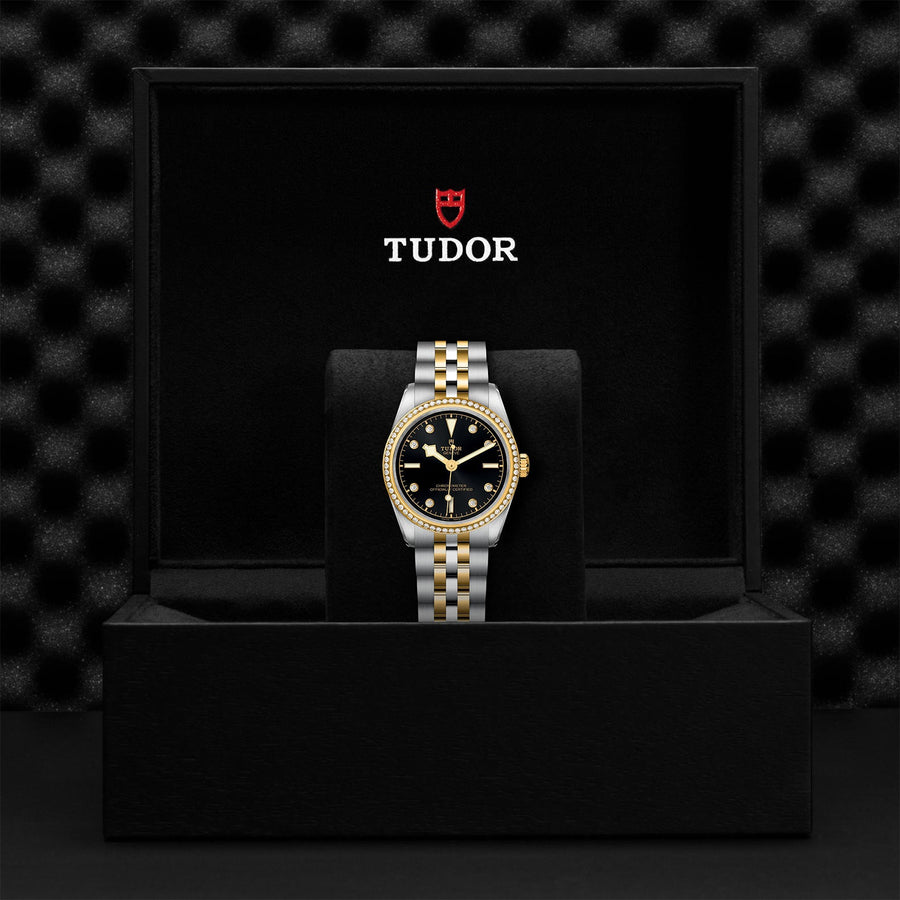 TUDOR Black Bay 31 S&G Steel and Gold - M79613-0005