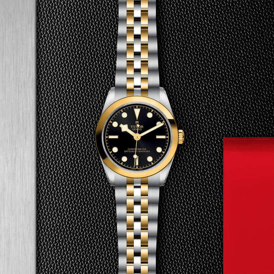 TUDOR Black Bay 31 S&G Steel and Yellow Gold - M79603-0001