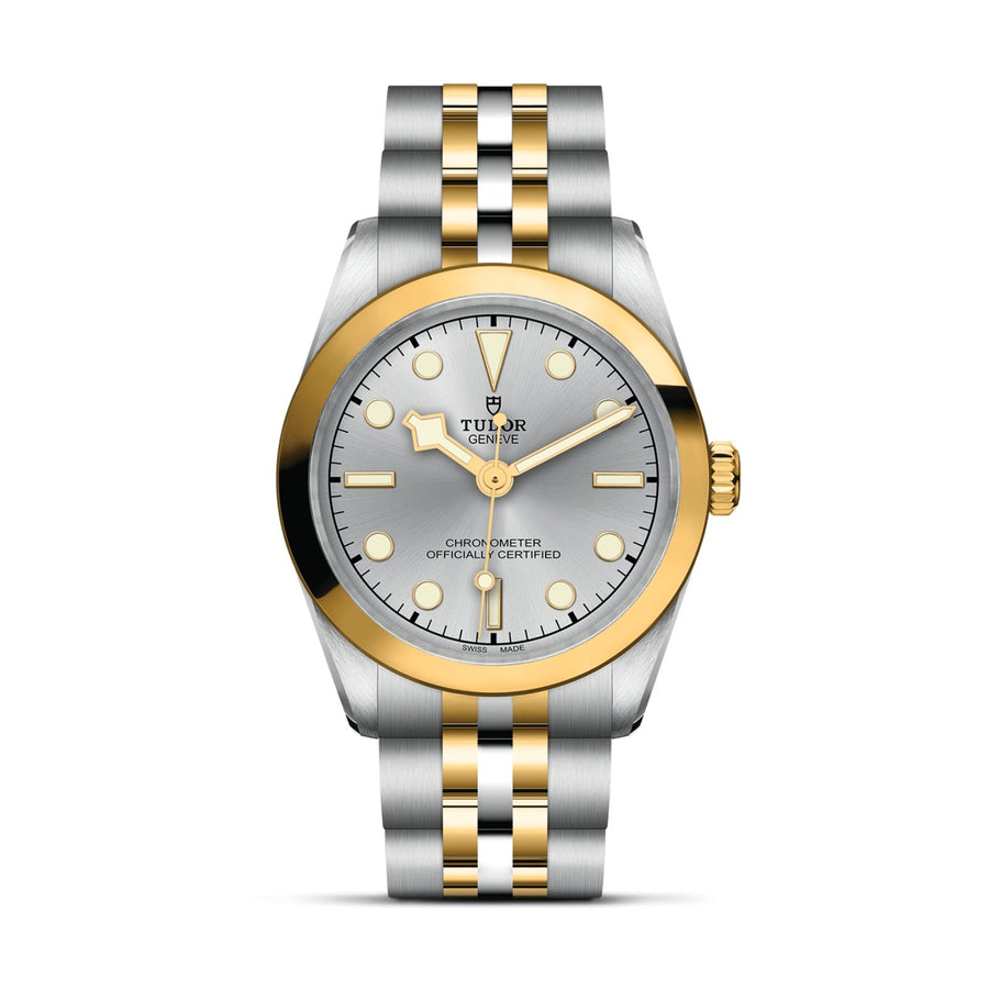 TUDOR Black Bay 31 S&G Steel and Yellow Gold - M79603-0002