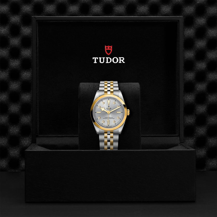 TUDOR Black Bay 36 S&G - M79643-0007