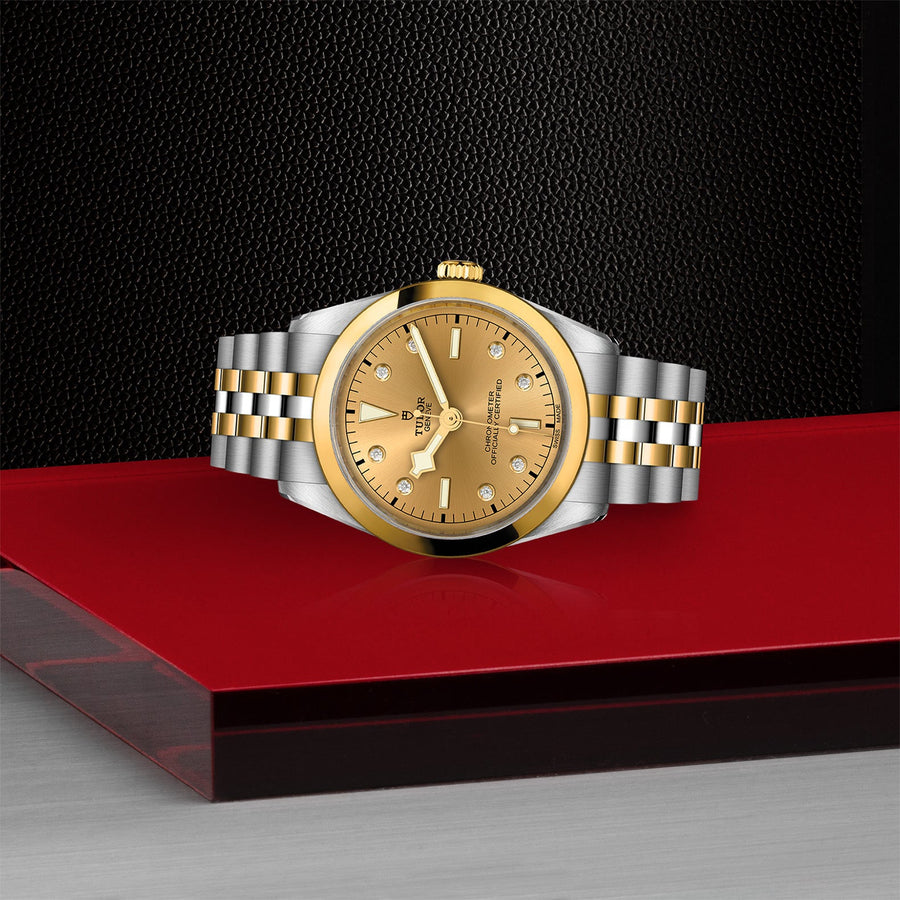 TUDOR Black Bay 36 S&G - M79643-0008