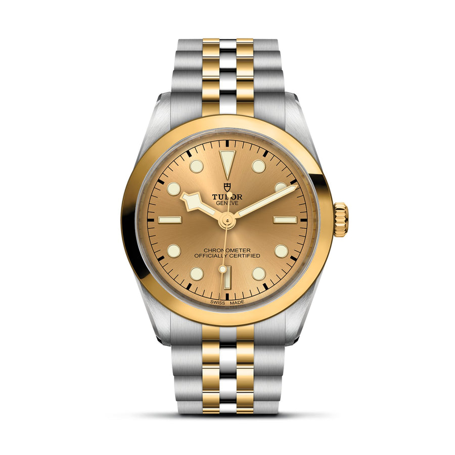 TUDOR Black Bay 36 S&G Steel and Gold - M79643-0005