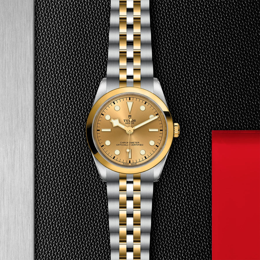 TUDOR Black Bay 36 S&G Steel and Gold - M79643-0005
