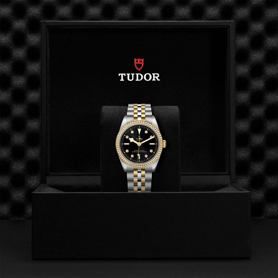 TUDOR Black Bay 36 S&G Steel and Gold - M79653-0005