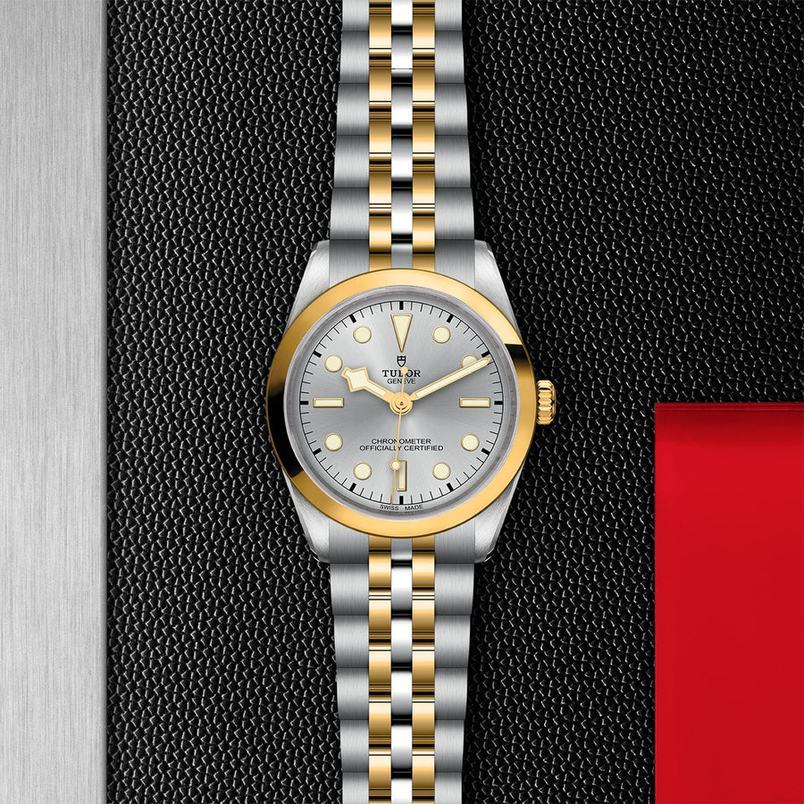TUDOR Black Bay 36 S&G Steel and Yellow Gold - M79643-0002