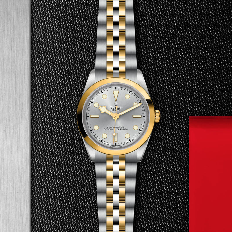 Tudor black bay 36 water resistance sales