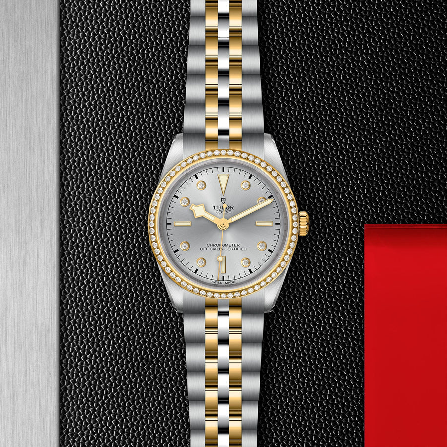 TUDOR Black Bay 36 S&G Steel and Yellow Gold - M79653-0006