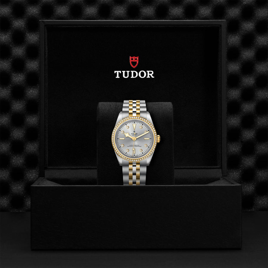 TUDOR Black Bay 36 S&G Steel and Yellow Gold - M79653-0006