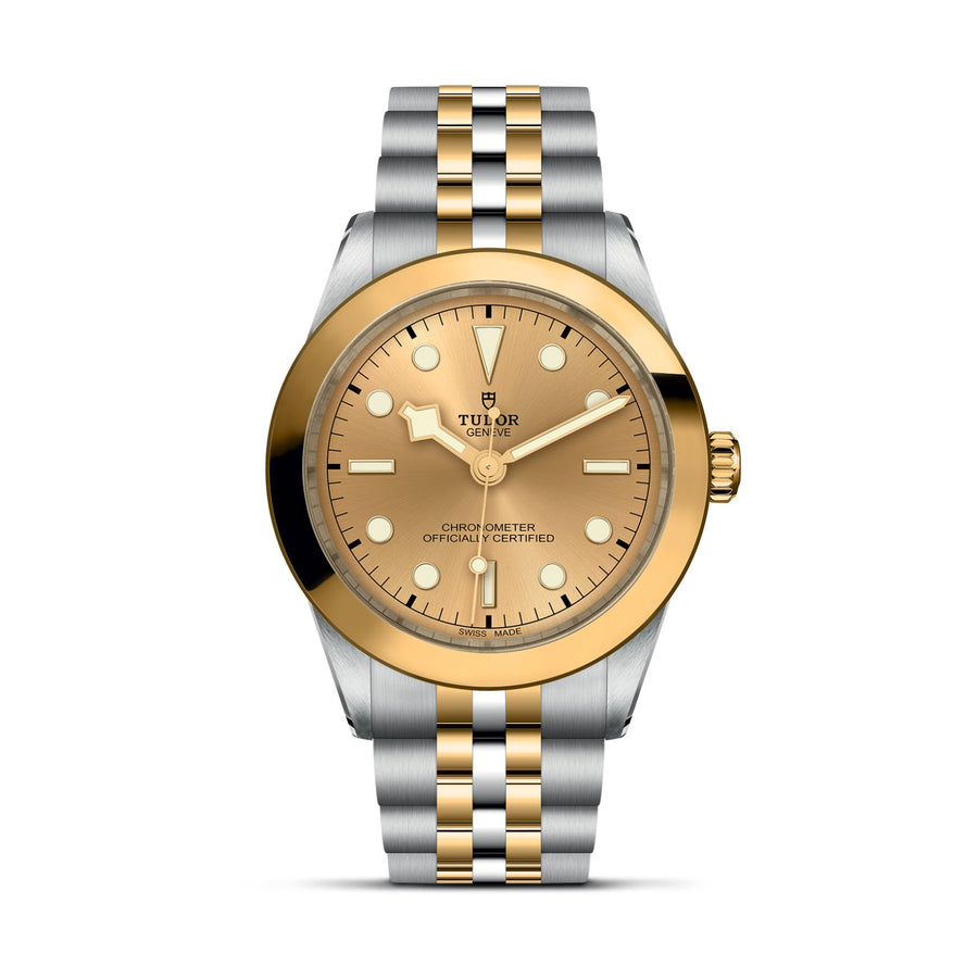 TUDOR Black Bay 39 S&G Steel and Gold - M79663-0005