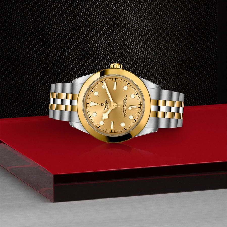 TUDOR Black Bay 39 S&G Steel and Gold - M79663-0005