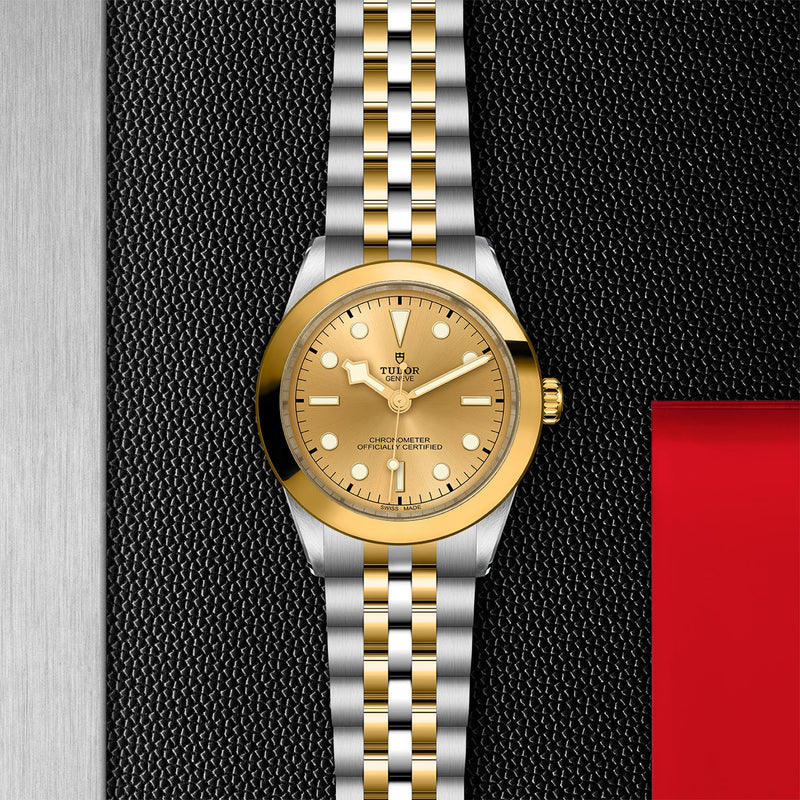 TUDOR Black Bay 36 S G Steel and Yellow Gold M79643 0002