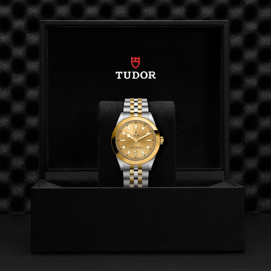 TUDOR Black Bay 39 S&G Steel and Gold - M79663-0005