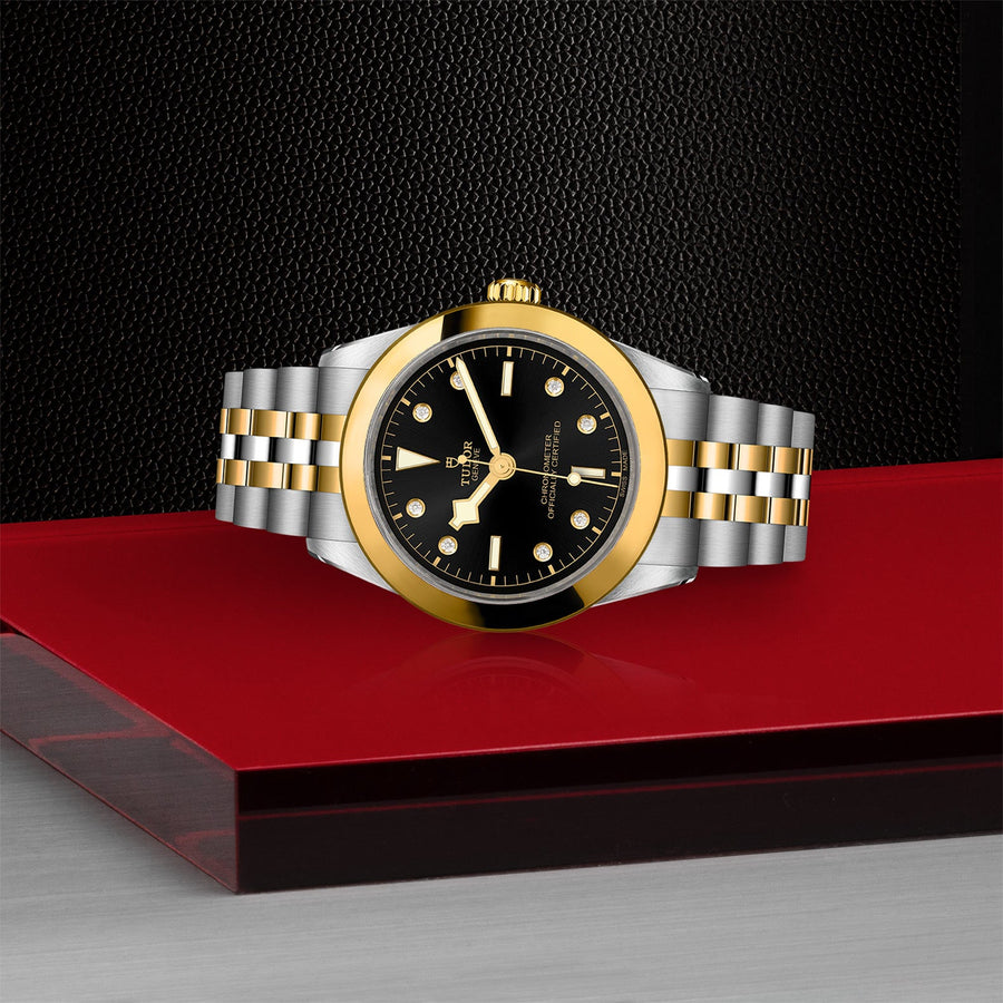 TUDOR Black Bay 39 S&G Steel and Gold - M79663-0006
