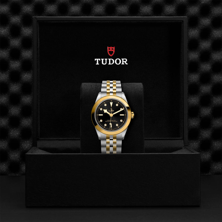 TUDOR Black Bay 39 S&G Steel and Gold - M79663-0006