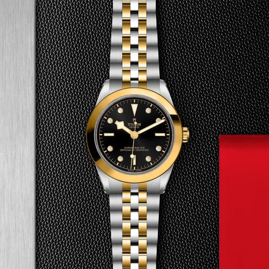 TUDOR Black Bay 39 S&G Steel and Gold - M79663-0006