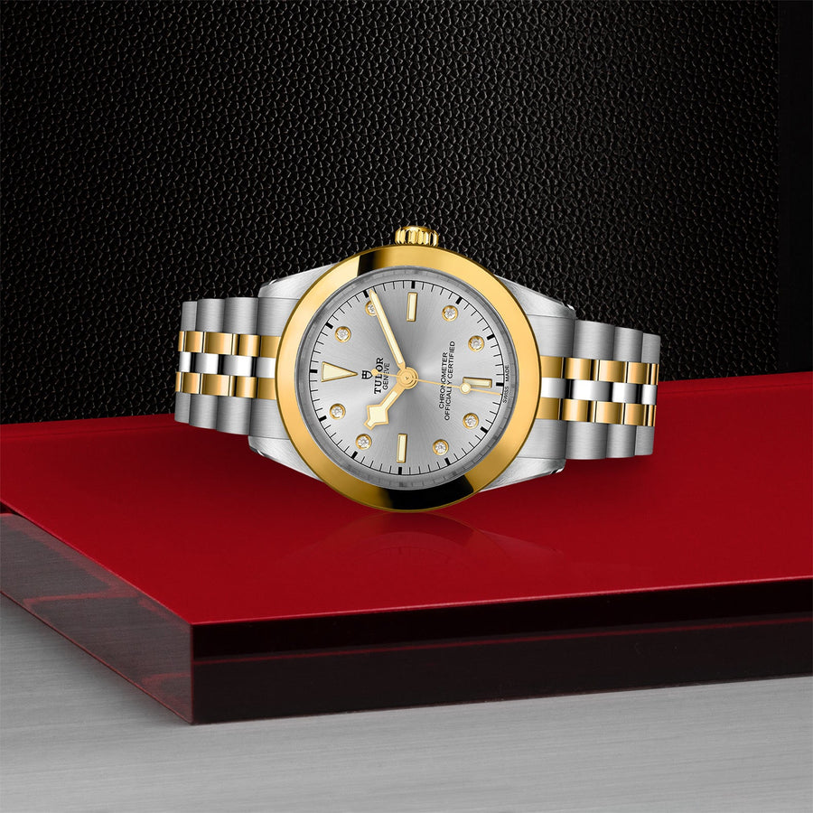 TUDOR Black Bay 39 S&G Steel and Gold - M79663-0007