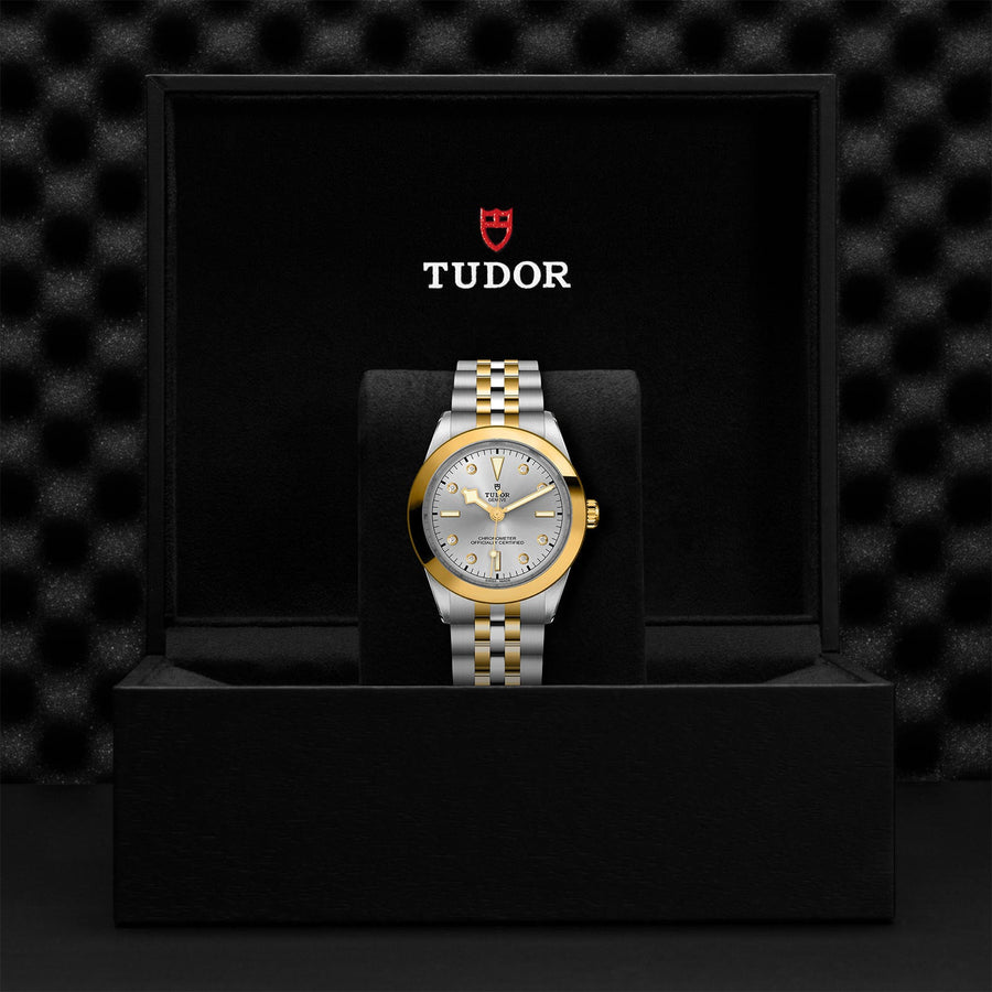 TUDOR Black Bay 39 S&G Steel and Gold - M79663-0007