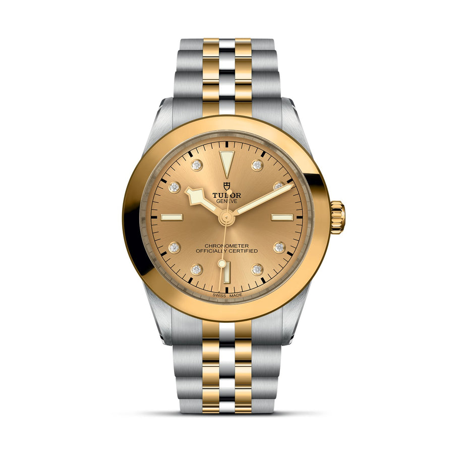 TUDOR Black Bay 39 S&G Steel and Gold - M79663-0008