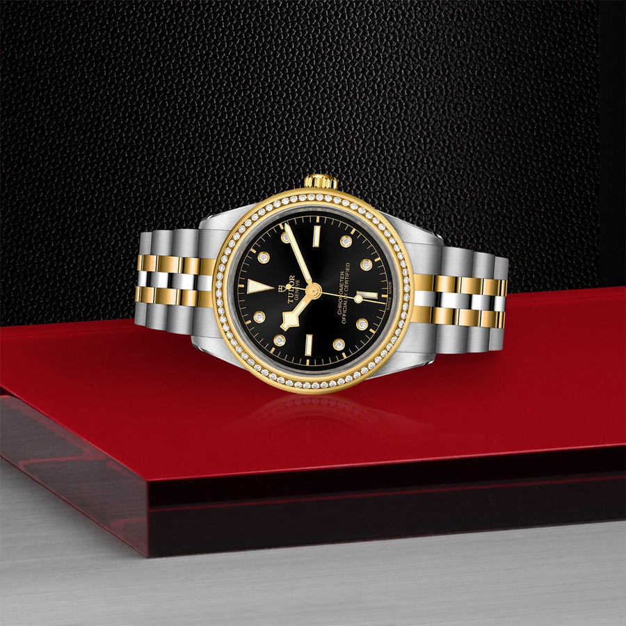 TUDOR Black Bay 39 S&G Steel and Gold - M79673-0005