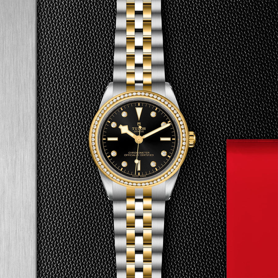 TUDOR Black Bay 39 S&G Steel and Gold - M79673-0005