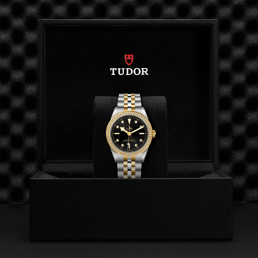 TUDOR Black Bay 39 S&G Steel and Gold - M79673-0005