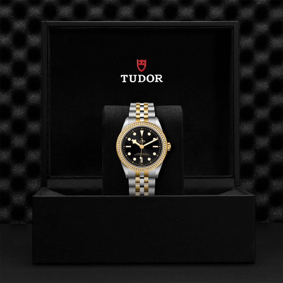 TUDOR Black Bay 39 S&G Steel and Yellow Gold - M79673-0001