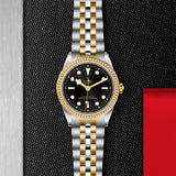TUDOR Black Bay 39 S&G Steel and Yellow Gold - M79673-0001