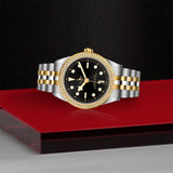 TUDOR Black Bay 39 S&G Steel and Yellow Gold - M79673-0001