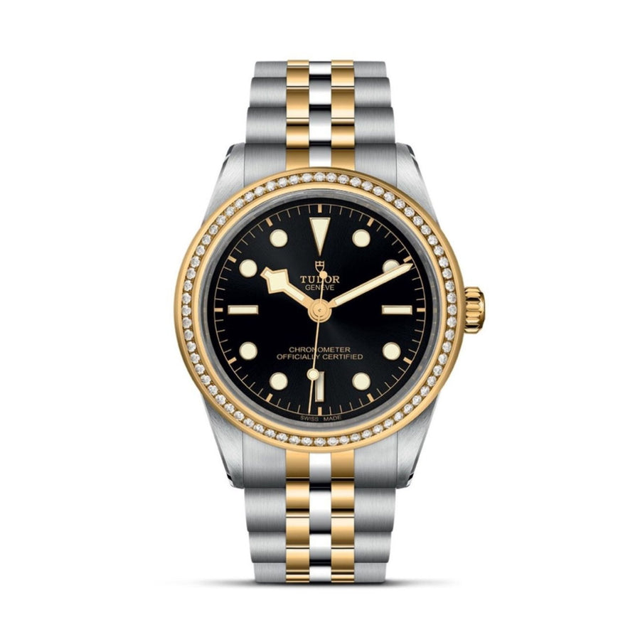 TUDOR Black Bay 39 S&G Steel and Yellow Gold - M79673-0001