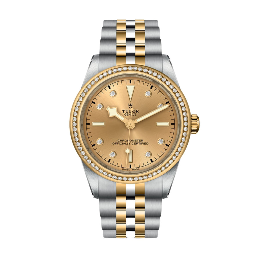 TUDOR Black Bay 39 S&G Steel and Yellow Gold - M79673-0007
