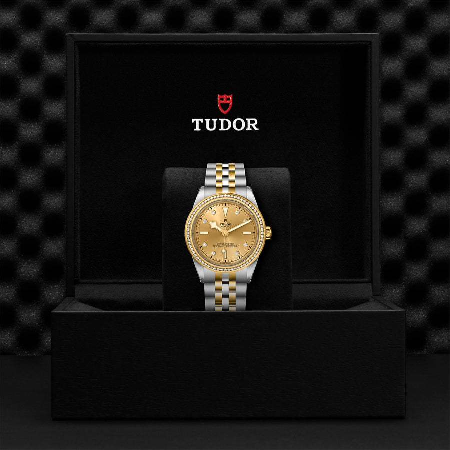 TUDOR Black Bay 39 S&G Steel and Yellow Gold - M79673-0007