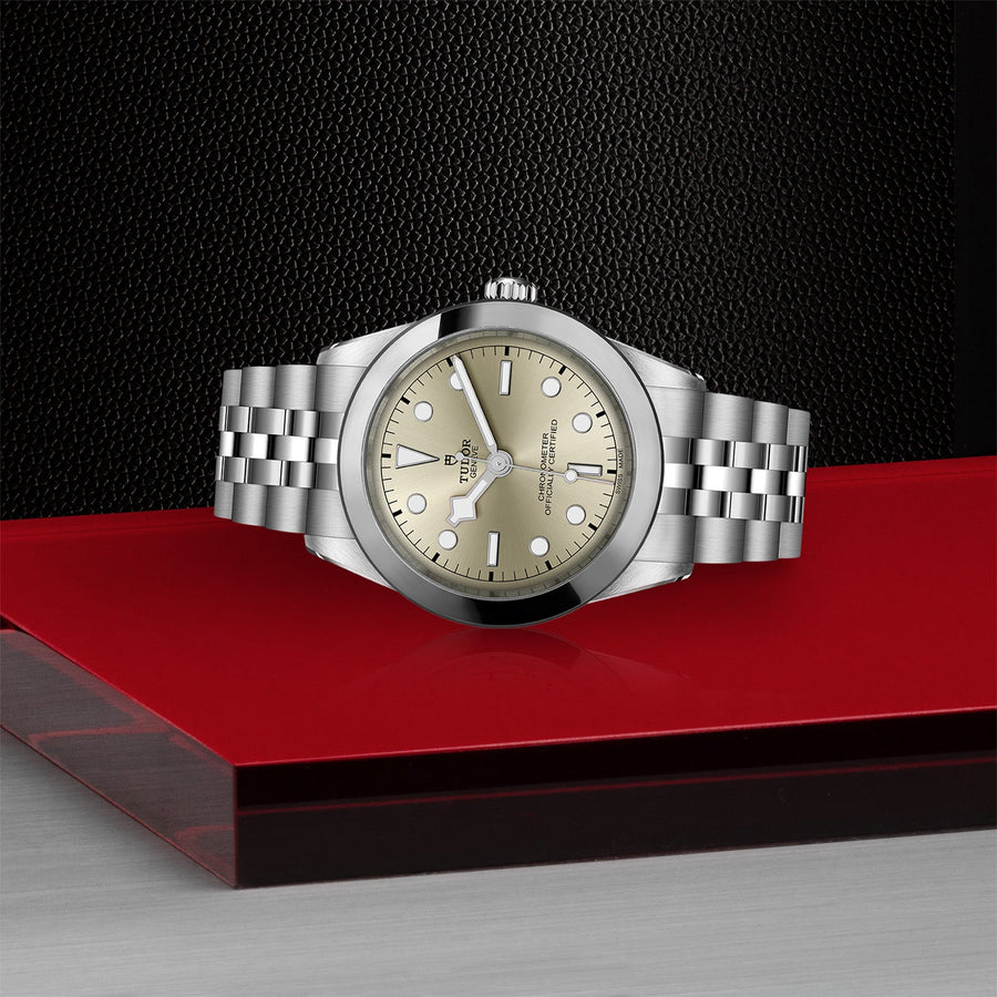 TUDOR Black Bay 39 Steel - M79660-0003
