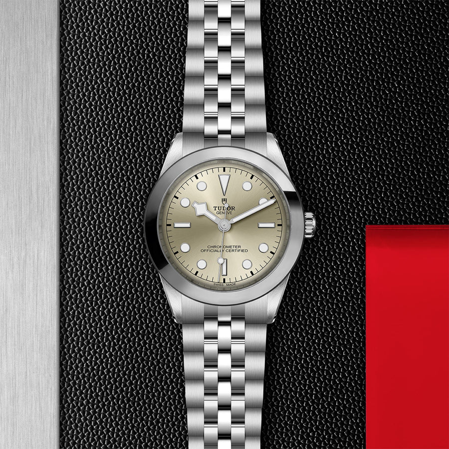 TUDOR Black Bay 39 Steel - M79660-0003