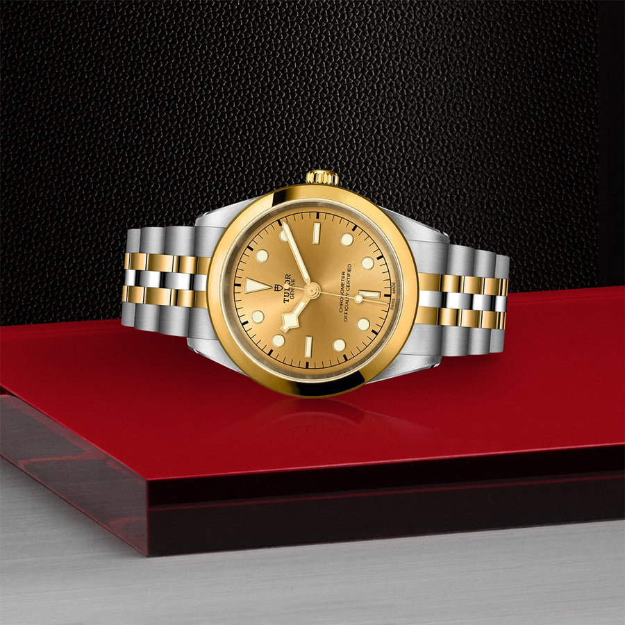TUDOR Black Bay 41 S&G Steel and Gold - M79683-0005