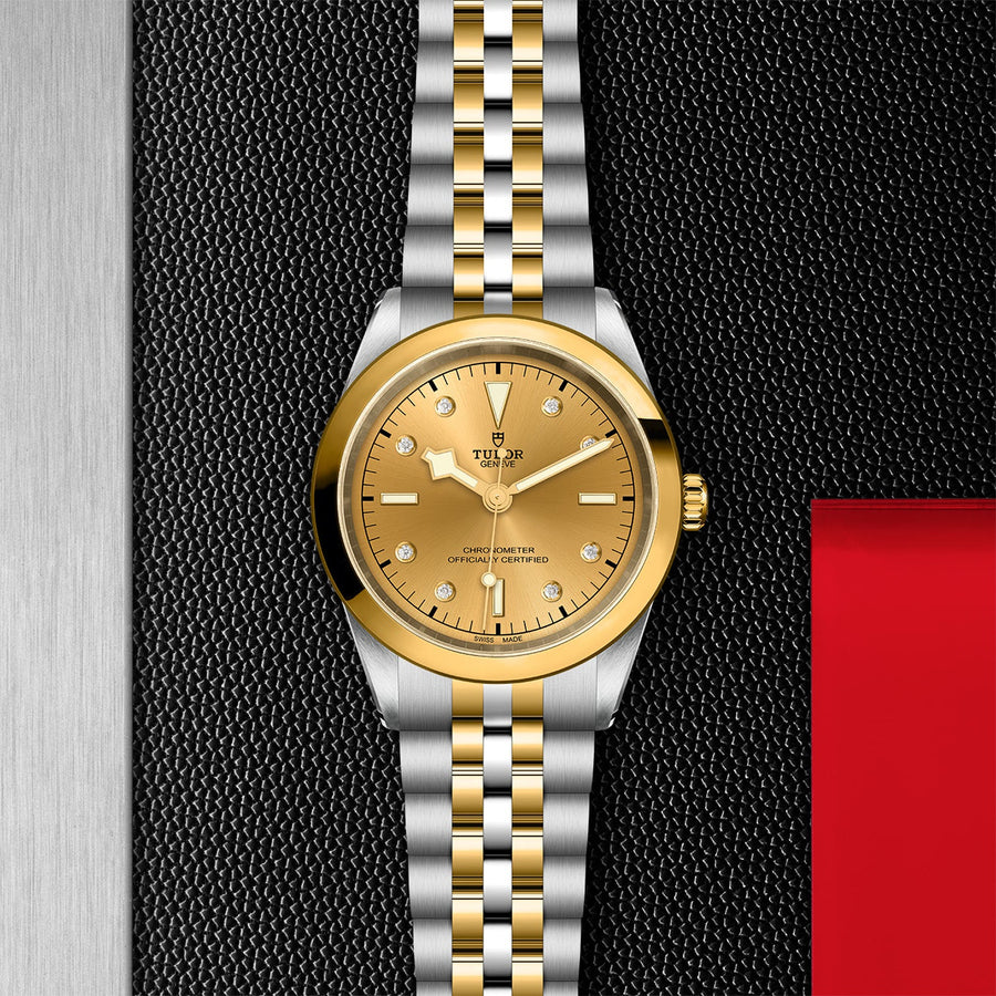 TUDOR Black Bay 41 S&G Steel and Gold - M79683-0008