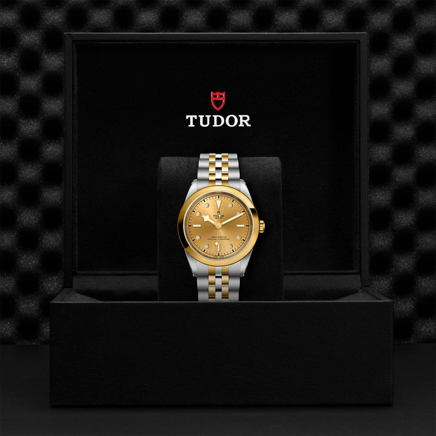 TUDOR Black Bay 41 S&G Steel and Gold - M79683-0008