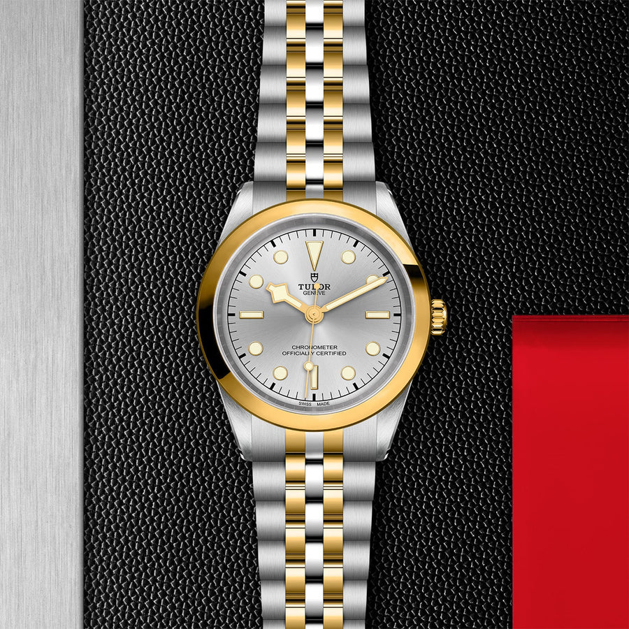 TUDOR Black Bay 41 S&G Steel and Yellow Gold - M79683-0002